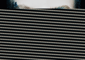 gifscomo um cego vê