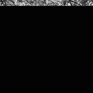 gifs como um cego vê