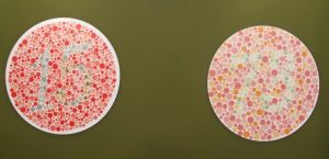 Imagens mostram números no meio das cores para testar se as pessoas têm dificuldade na percepção (Foto: Mariana Palma/G1) Imagens mostram números no meio das cores para testar se as pessoas têm dificuldade na percepção (Foto: Mariana Palma/G1)