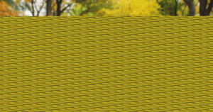 oculos-cinemagrafia-3