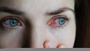 shutterstock_577962181