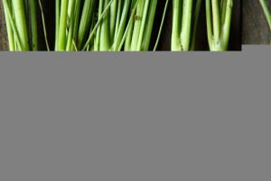 b_300_0_16777215_00_http___www.visaolaser.com.br_blog_wp-content_uploads_2015_06_alimentos-saude-ocular.jpg