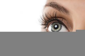 Close up of natural female eye isolated on white background