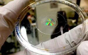 b_300_0_16777215_00_https___hypescience.com_wp-content_uploads_2019_08_lente-metalente-eletronica-melhor-olho-humano-838x524.jpg