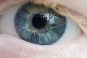 pplware olho humano00 720x480