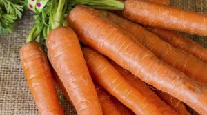 alimentos que protegem a visao 1 0