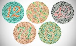 Distúrbio ocular: visão dos daltônicos