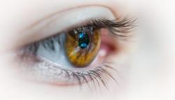 Mês da Saúde Ocular - Oftalmologista dá dicas para cuidar da saúde dos olhos