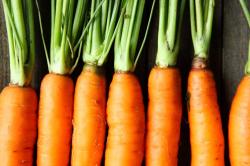 Descubra 4 alimentos que podem renovar a sua saúde ocular