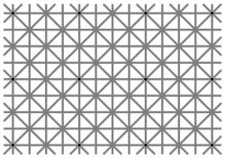 Ilusão de ótica: você consegue enxergar todos os 12 pontos pretos ao mesmo tempo?