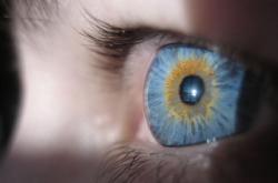 Geneticistas tratam doenças oculares antes de elas se manifestarem