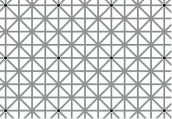 É impossível ver todos os pontos desta imagem ao mesmo tempo; veja o por quê