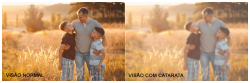 Visão requer atenção especial na terceira idade  